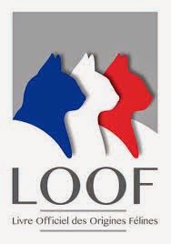 Standard Français LOOF clic ici